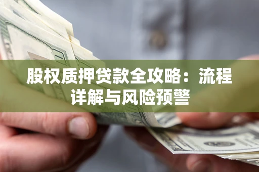 北京股权质押贷款全攻略：流程详解与风险预警