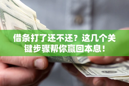 北京借条打了还不还？这几个关键步骤帮你赢回本息！
