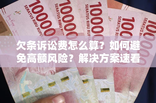 北京欠条诉讼费怎么算？如何避免高额风险？解决方案速看！