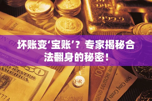 北京坏账变‘宝账’？专家揭秘合法翻身的秘密！