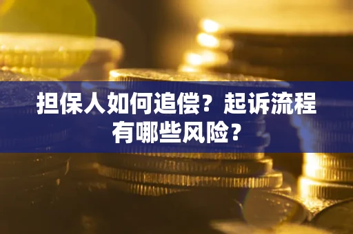 北京担保人如何追偿？起诉流程有哪些风险？