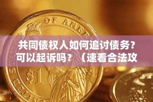 北京共同债权人如何追讨债务？可以起诉吗？（速看合法攻略）