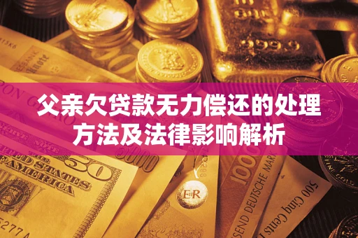 北京父亲欠贷款无力偿还的处理方法及法律影响解析