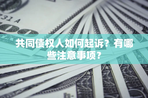 北京共同债权人如何起诉？有哪些注意事项？